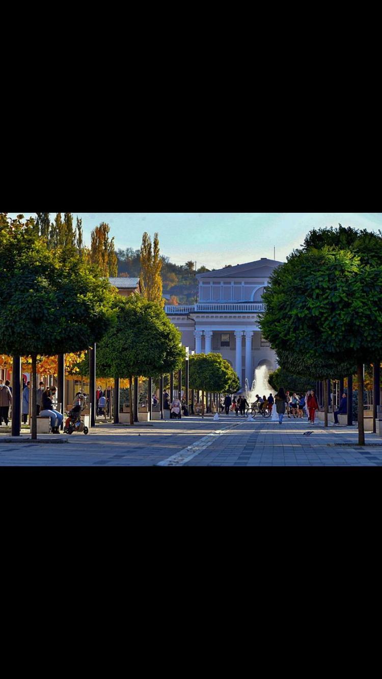 Apartamento Refugiul Castelului Hunedoara Exterior foto